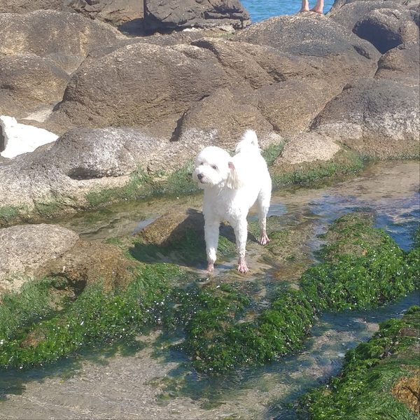 뭉치 · 옆모습