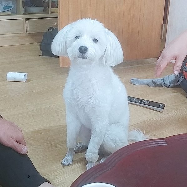 뭉치