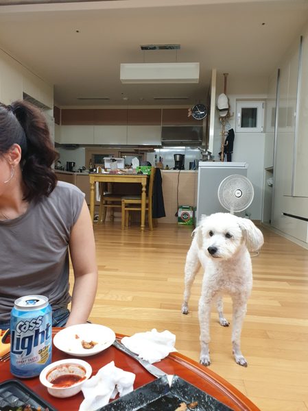뭉치